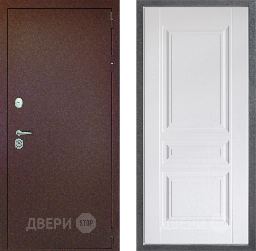 Входная металлическая Дверь Дверной континент Рубикон Медь Дизайн ФЛ-243 Альберо Браш серебро