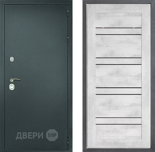 Входная металлическая Дверь Дверной континент Рубикон Серебро Дизайн ФЛ-49 Бетон снежный