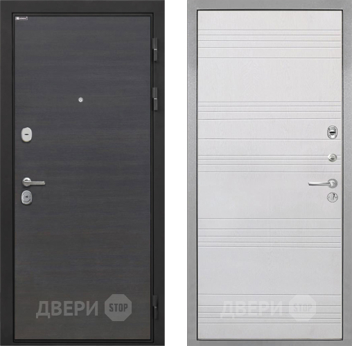 Входная металлическая Дверь Интекрон (INTECRON) Гектор Эковенге ФЛ-316 Белый ясень