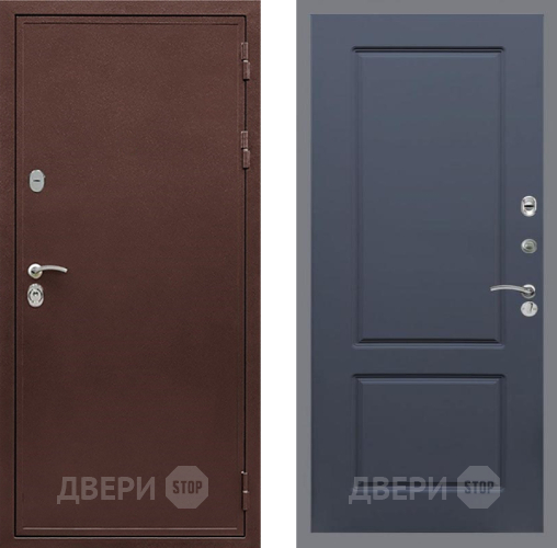 Дверь Рекс (REX) 5 металл 3 мм FL-117 Силк титан